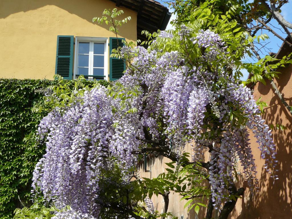 Al Concerto Bed & Breakfast San Benigno Canavese Exterior foto